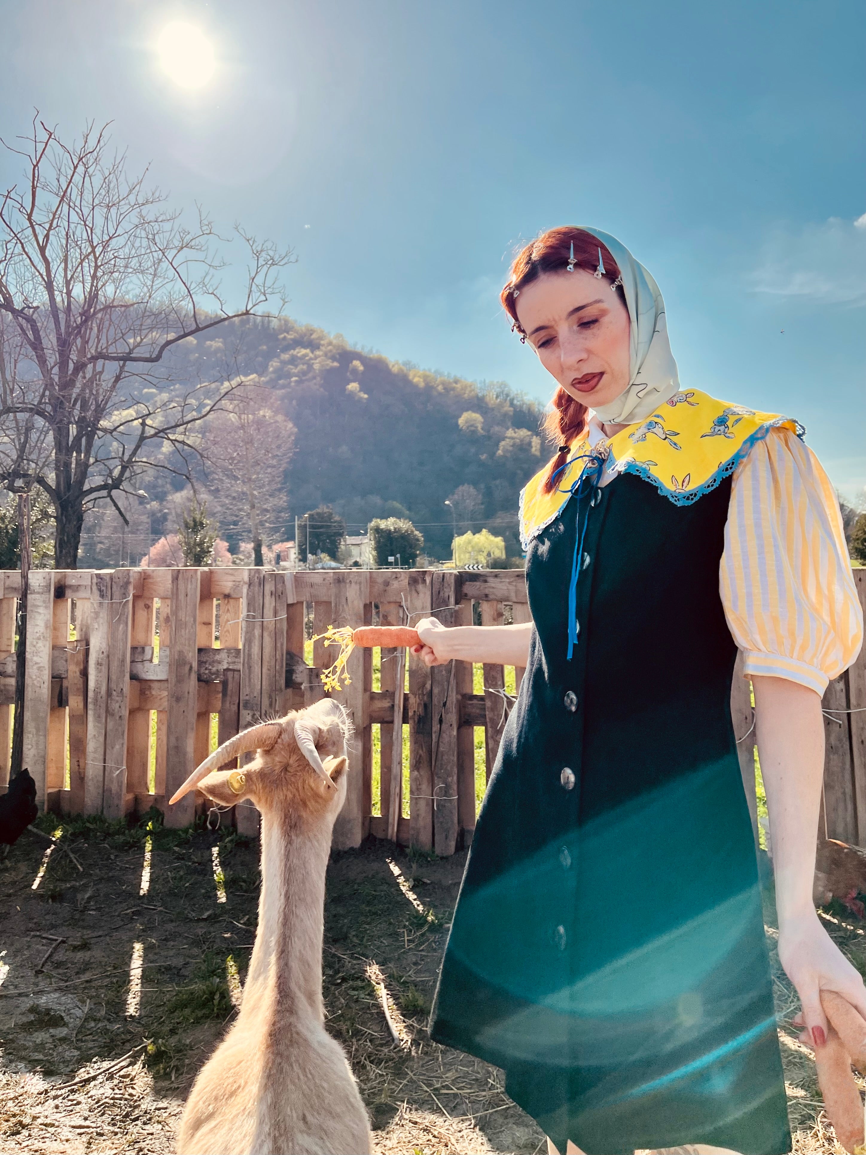 Colletto asinello Peter pan