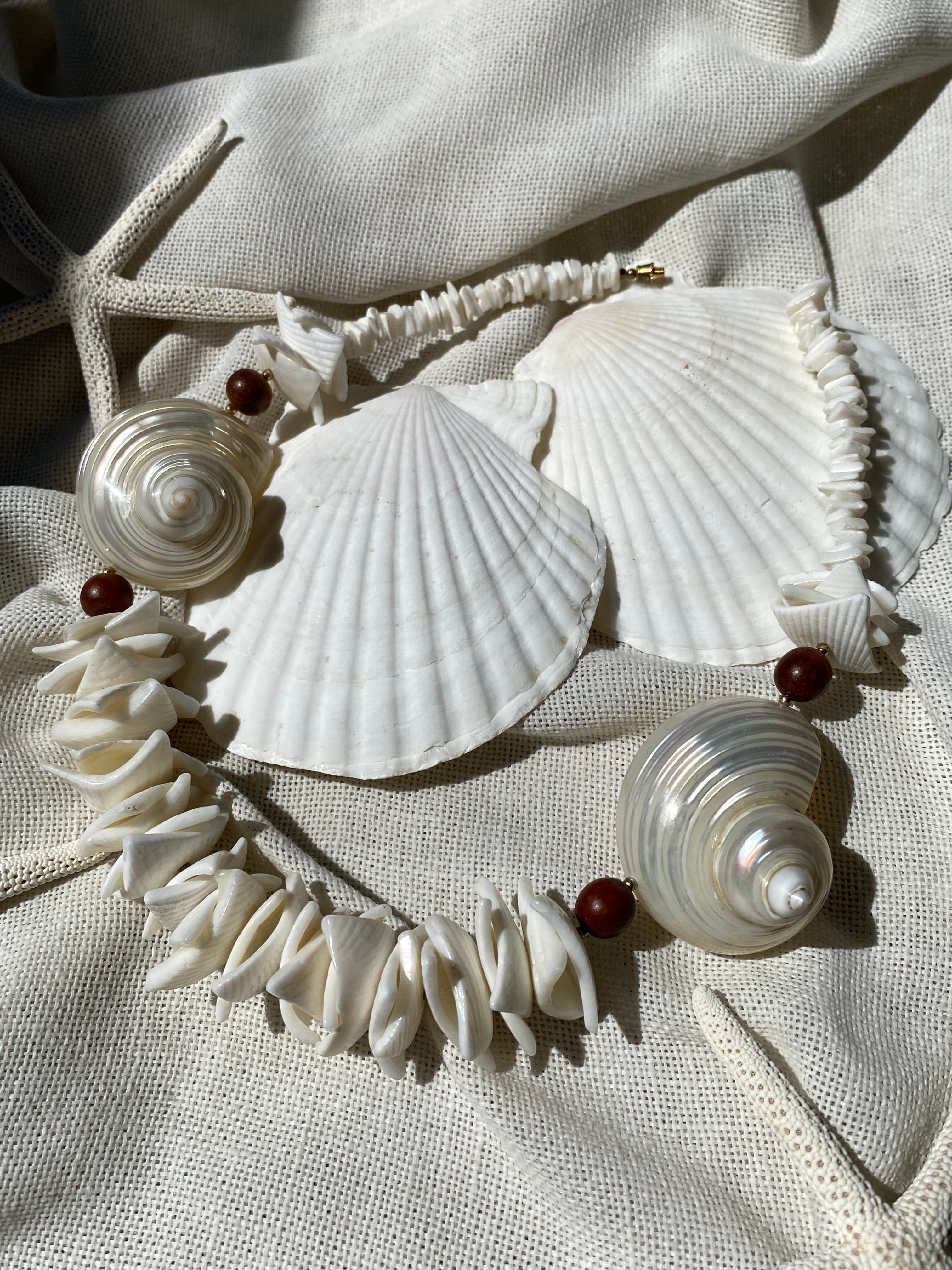 Conchiglia di Teti collana in vere conchiglie