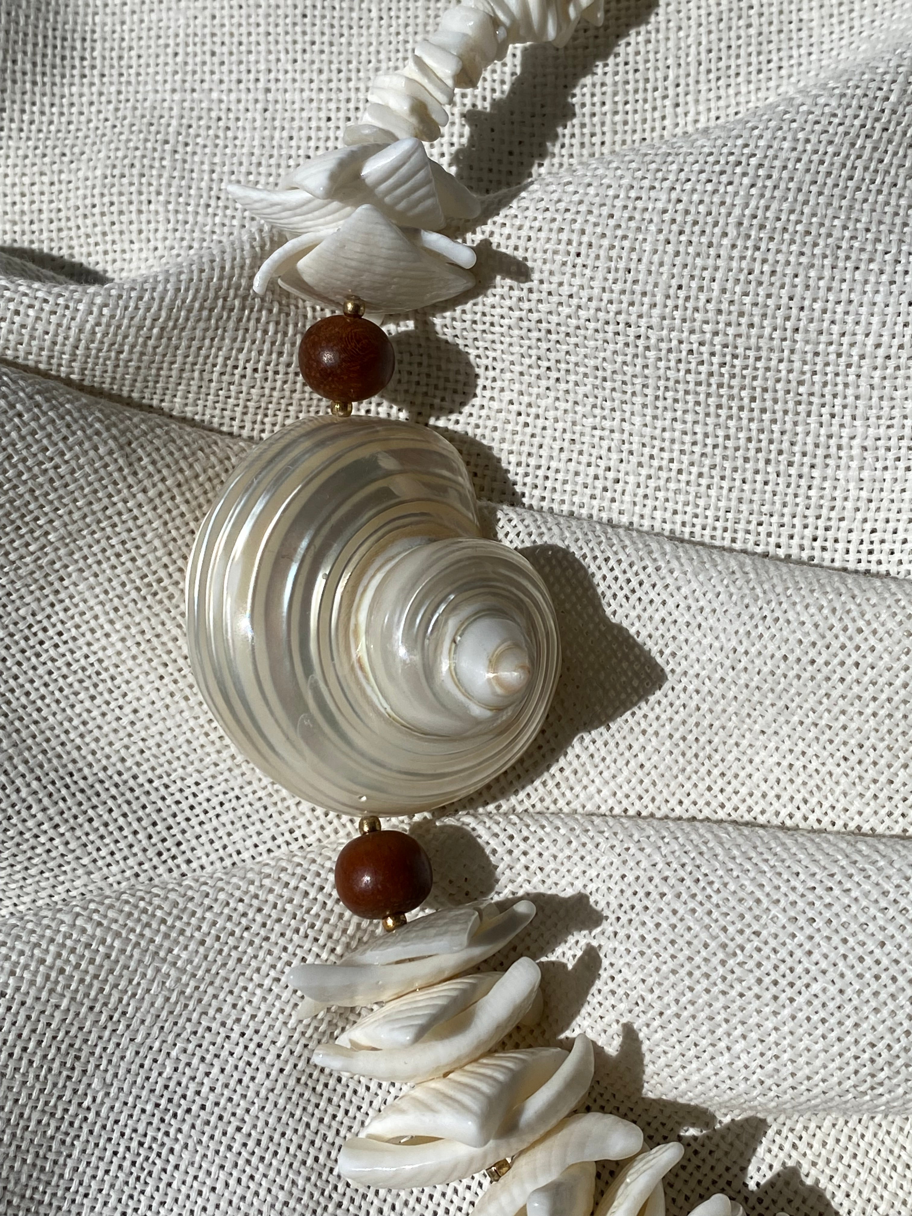 Conchiglia di Teti collana in vere conchiglie