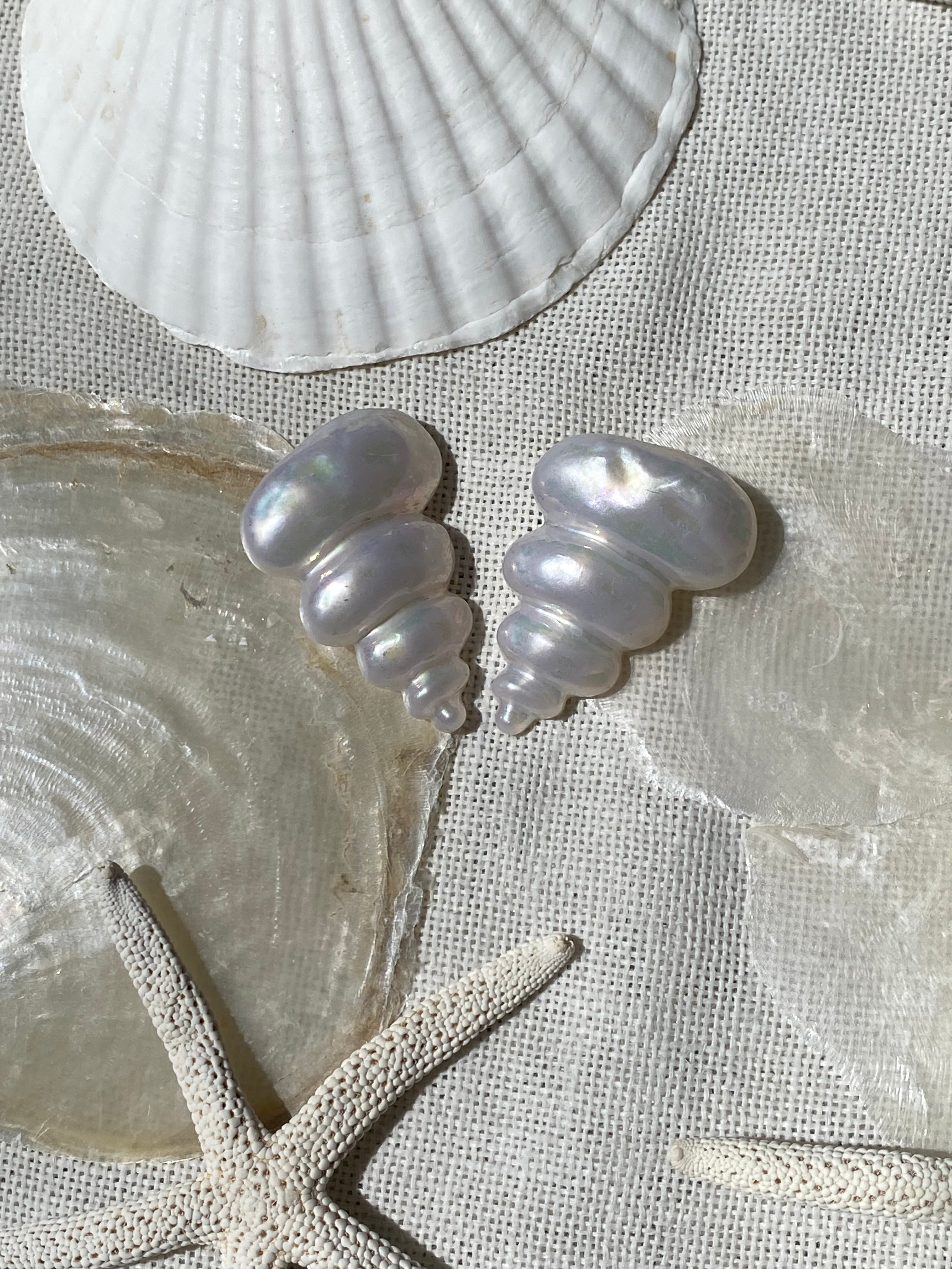 Nausicaa orecchini a conchiglia a clip