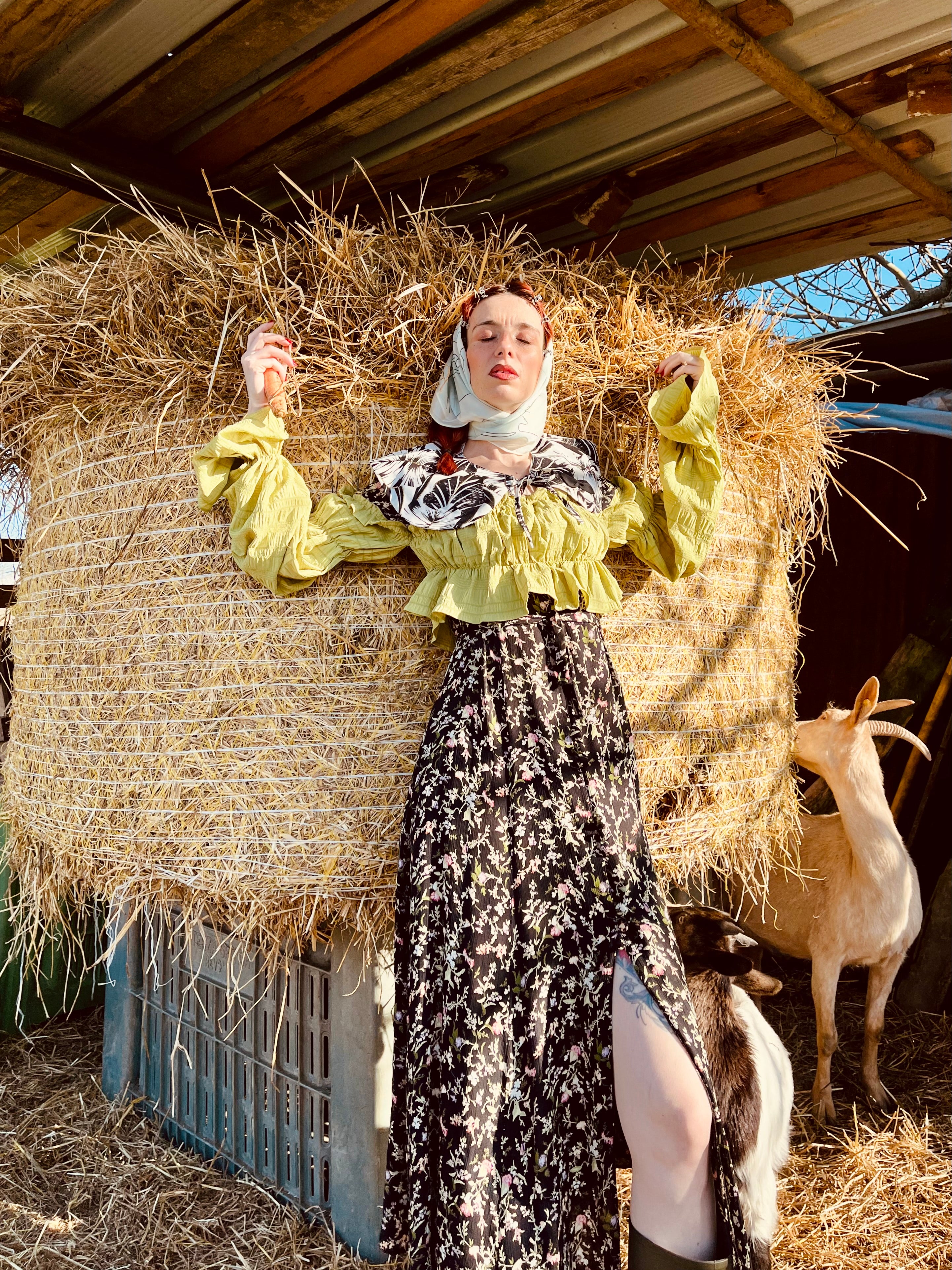 Colletto tropicale Peter pan