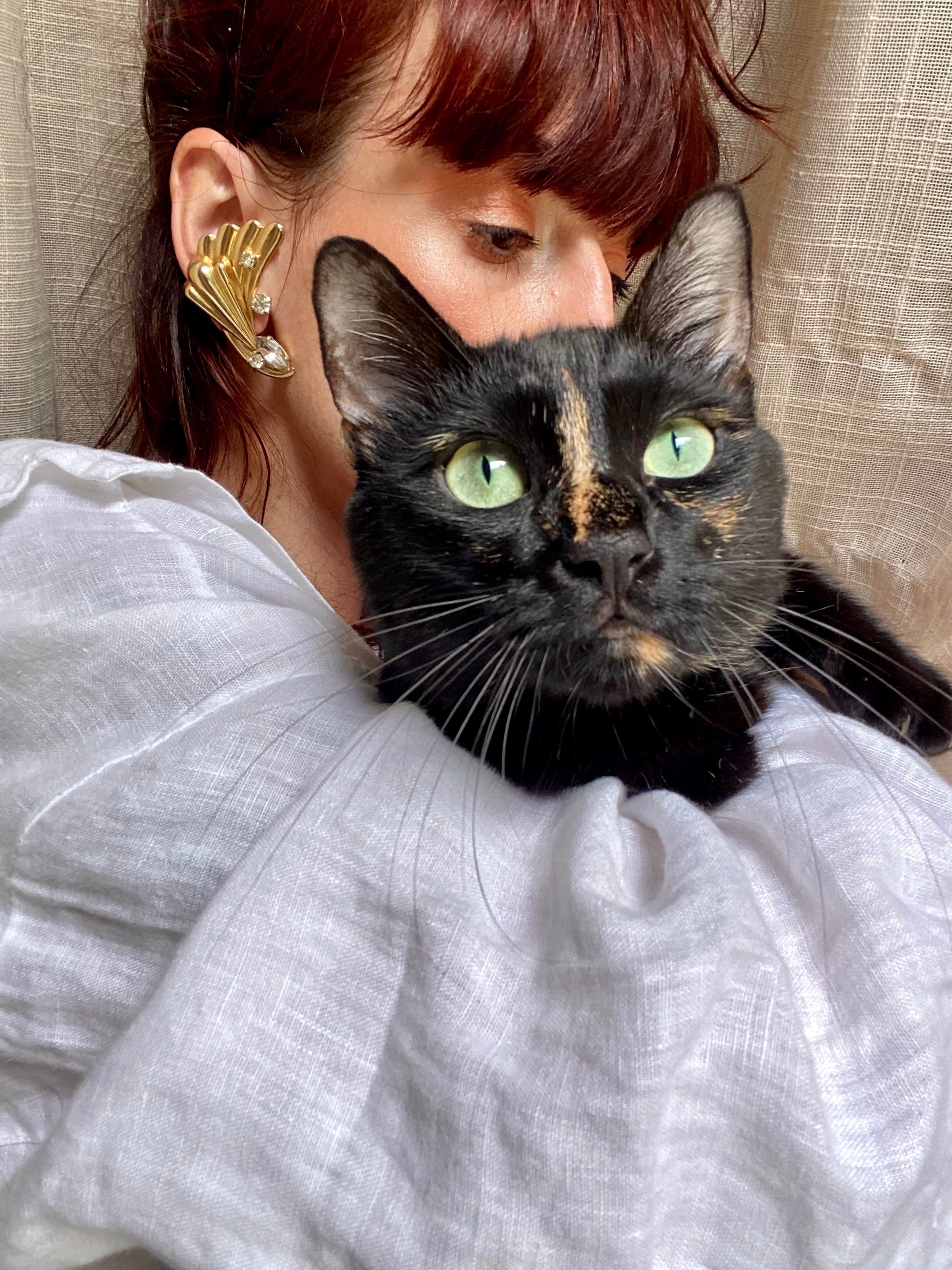 Ali orecchini con punto luce