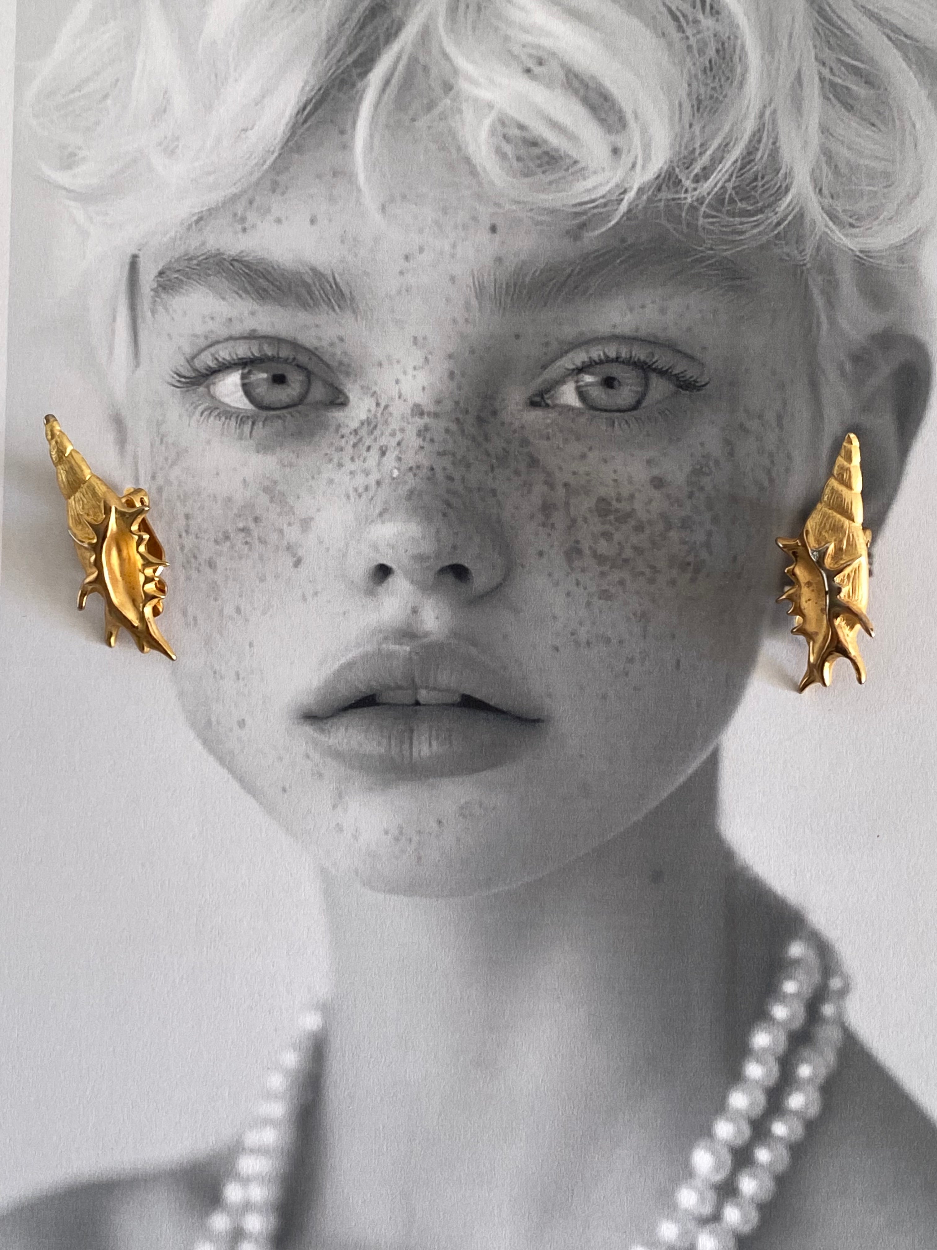 Teti orecchini a clip a conchiglia