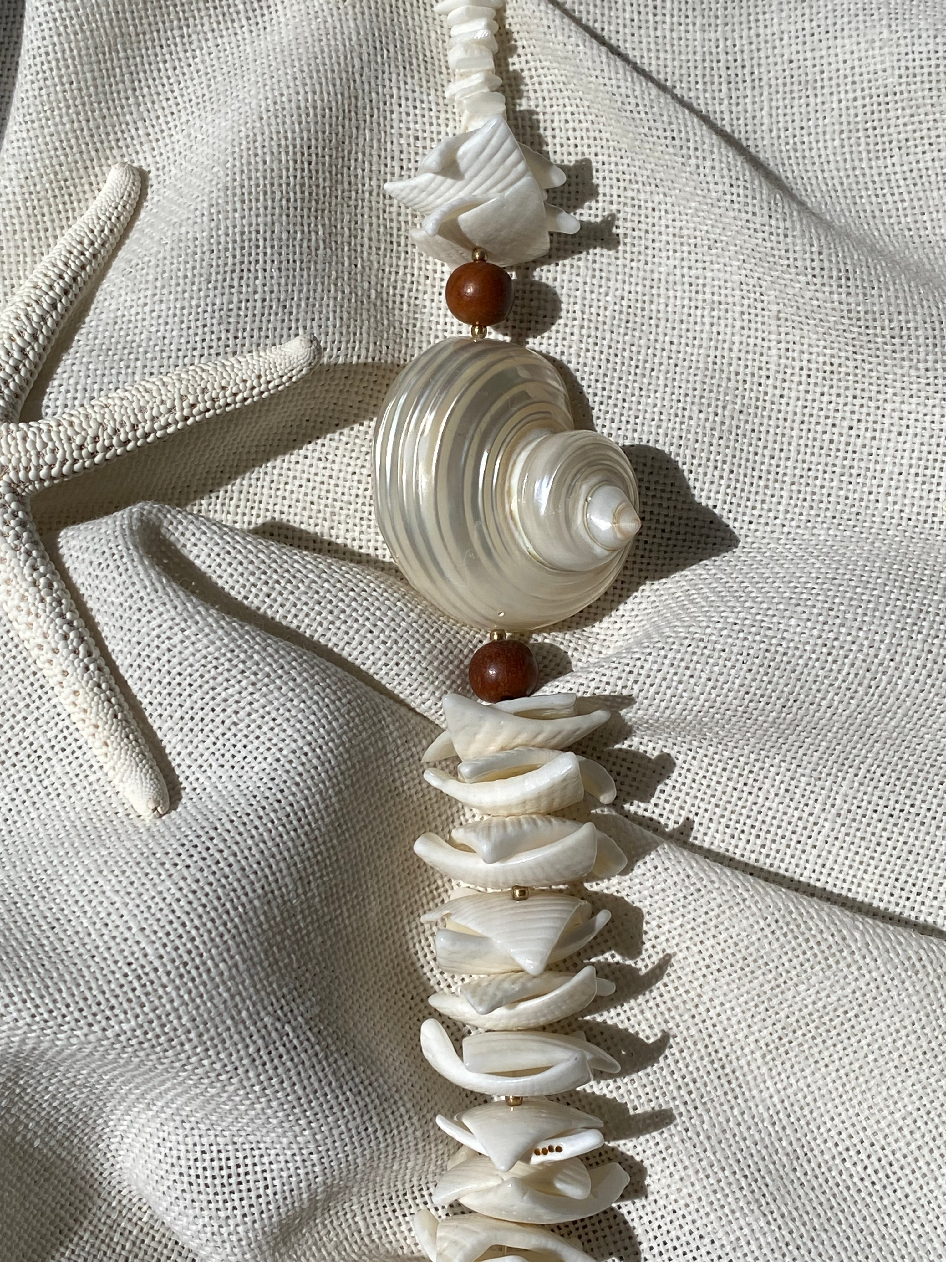 Conchiglia di Teti collana in vere conchiglie