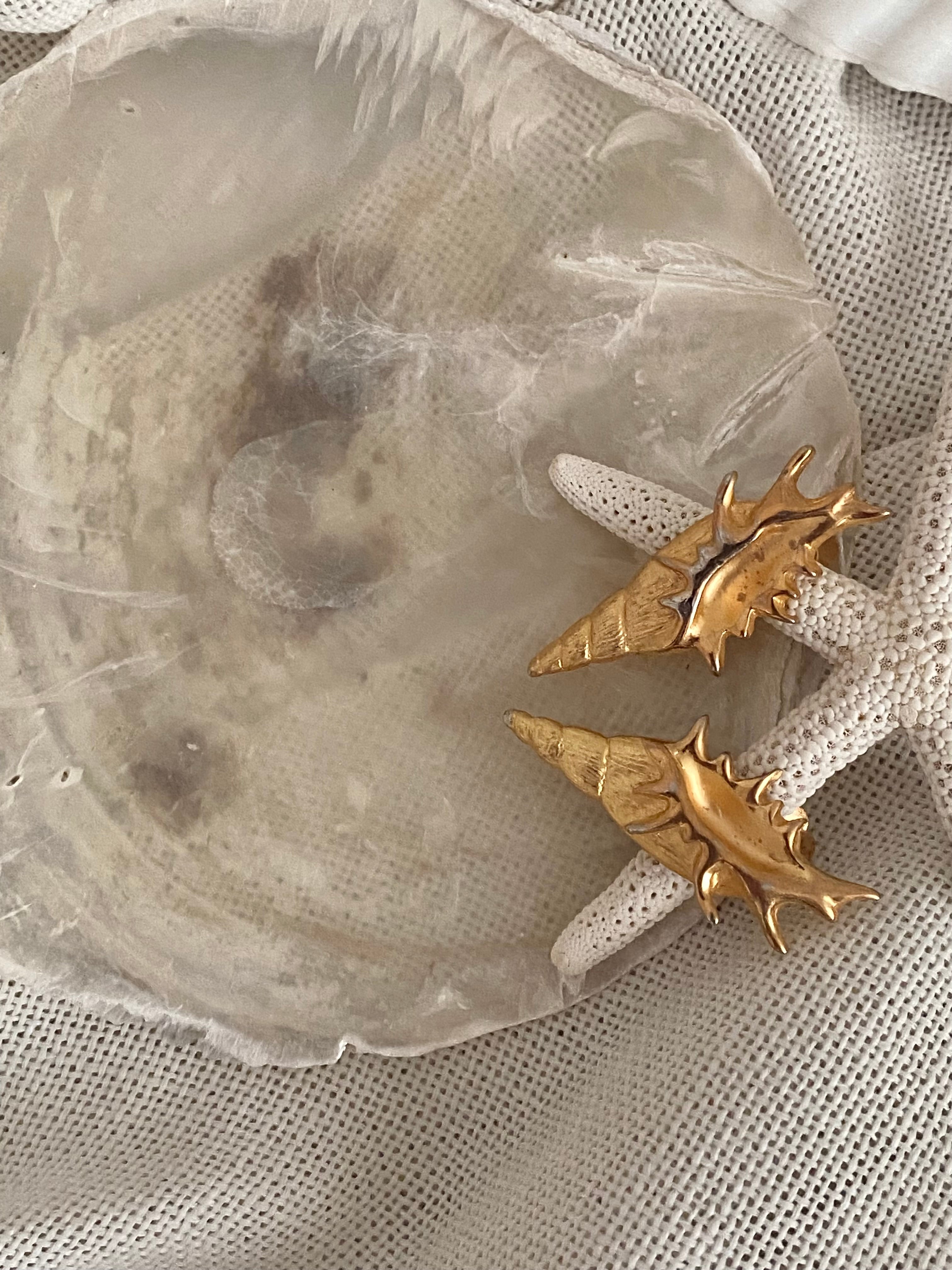 Teti orecchini a clip a conchiglia