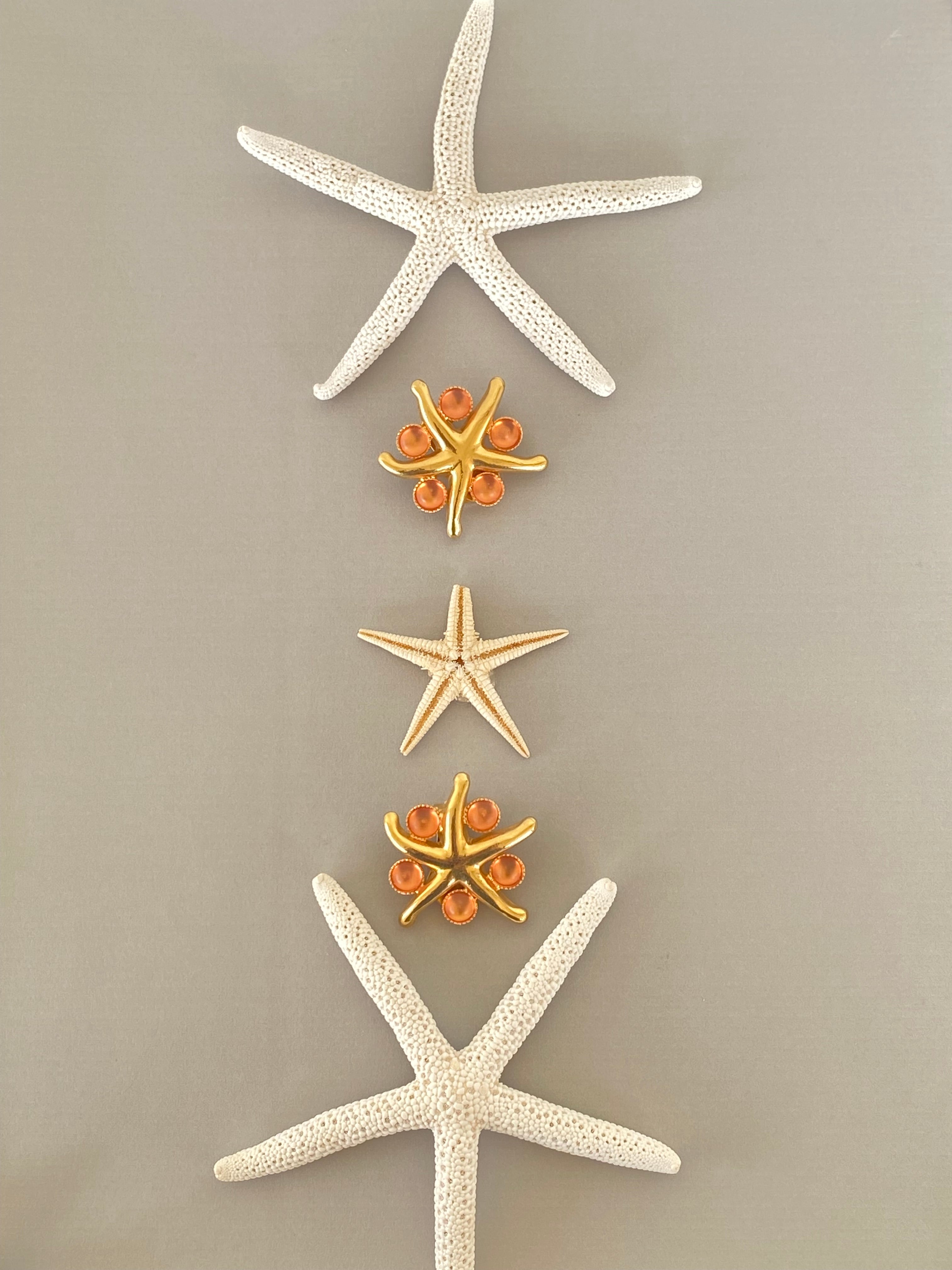 Stella marina orecchini a clip