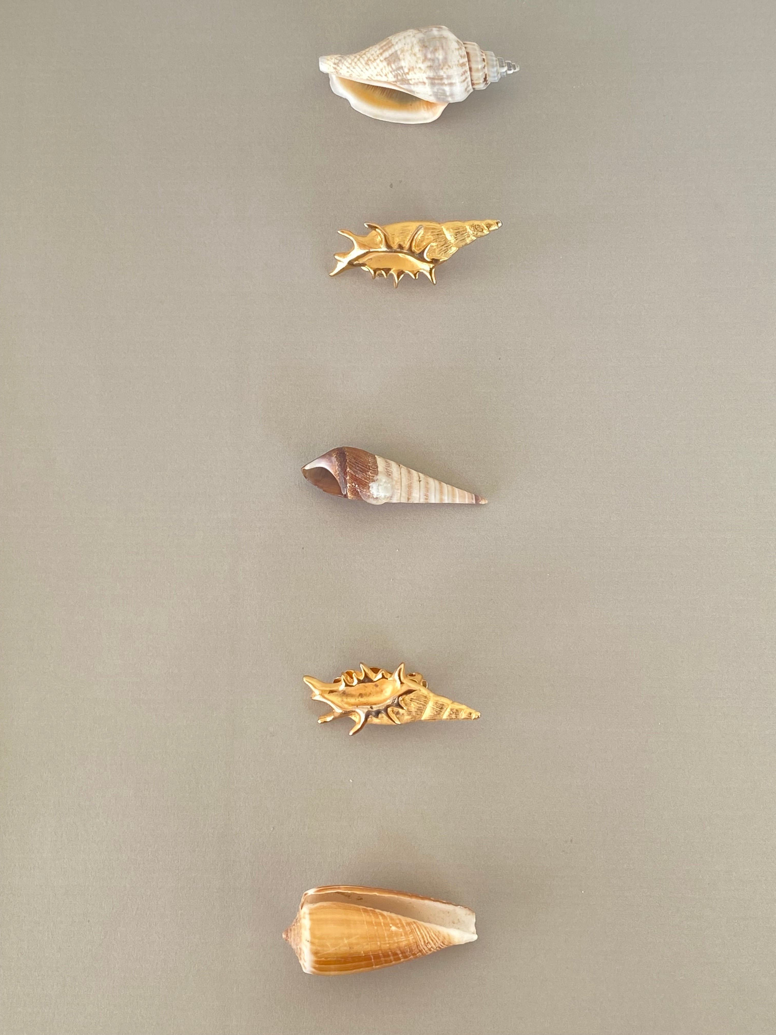 Teti orecchini a clip a conchiglia