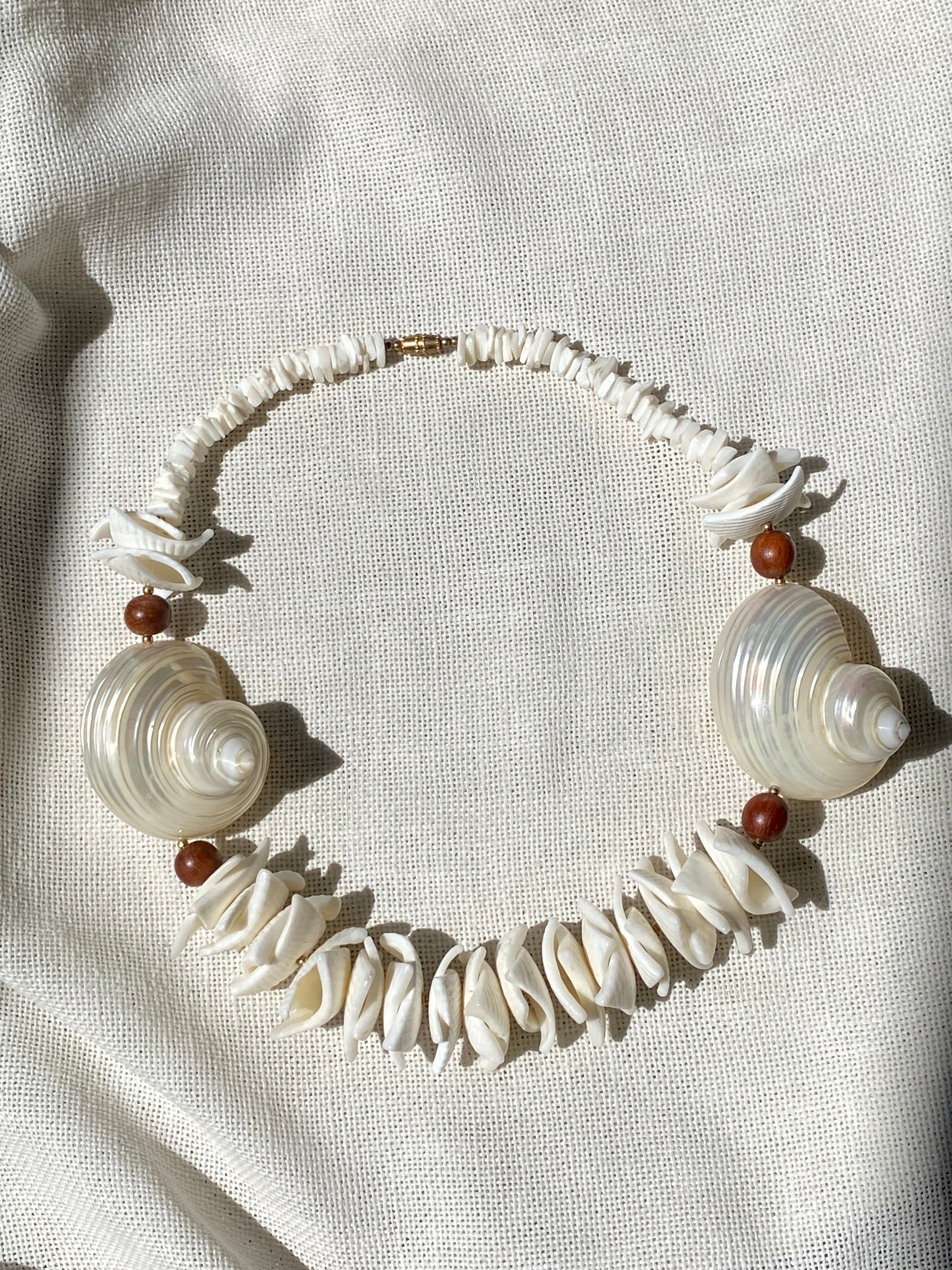 Conchiglia di Teti collana in vere conchiglie