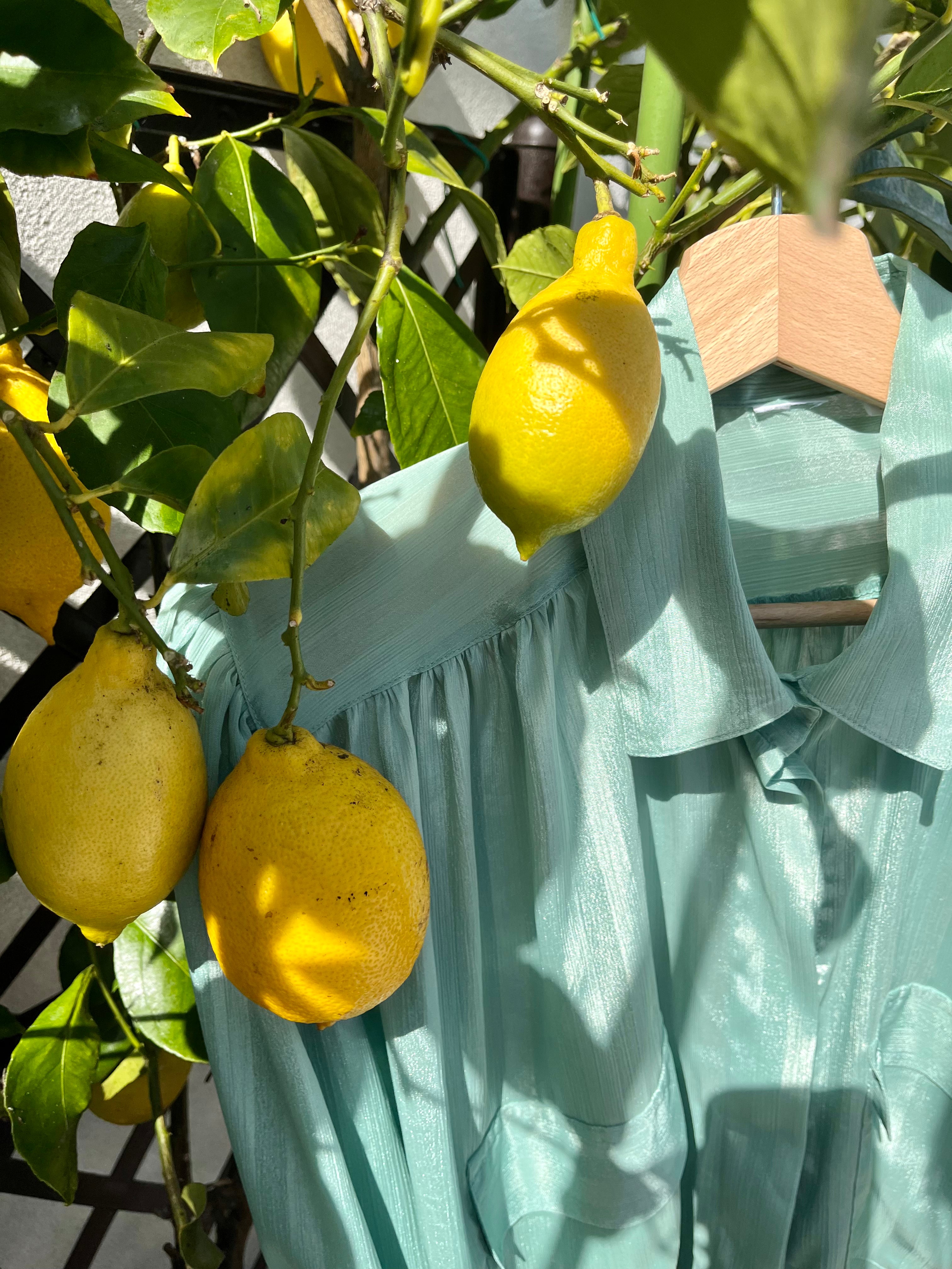 Camicia gessata acqua marina