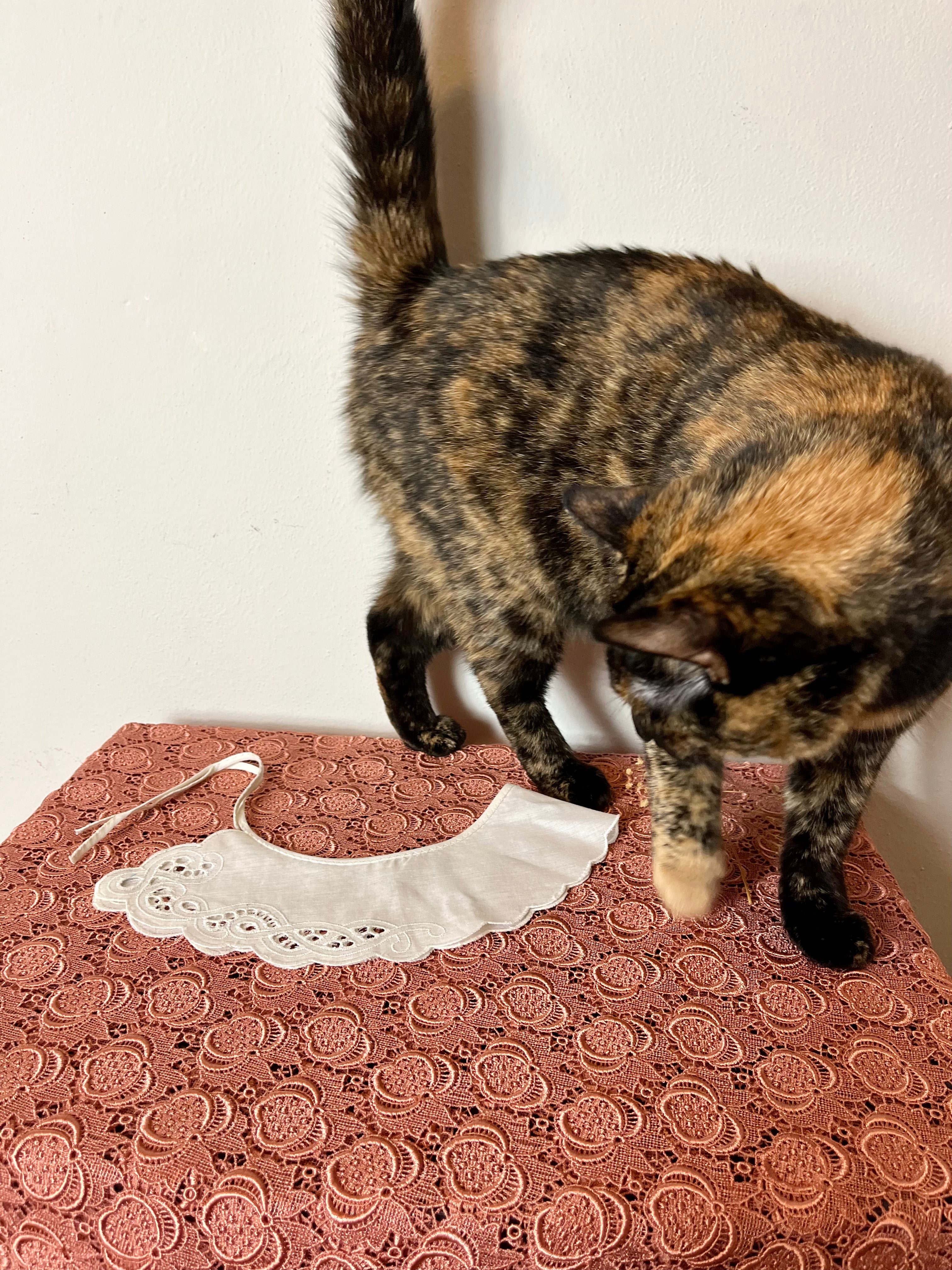 Colletto Peter Pan in cotone ricamato