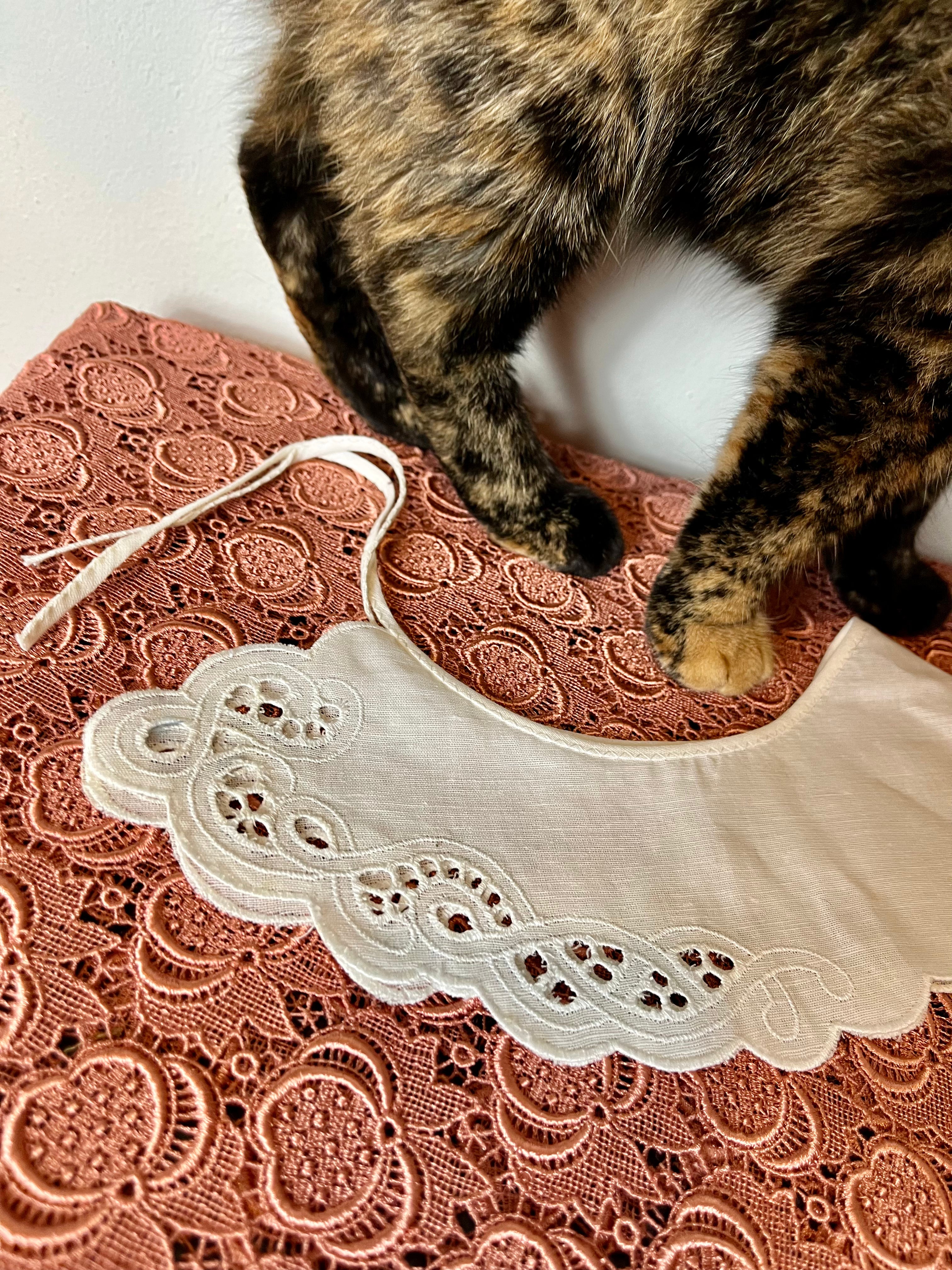 Colletto Peter Pan in cotone ricamato