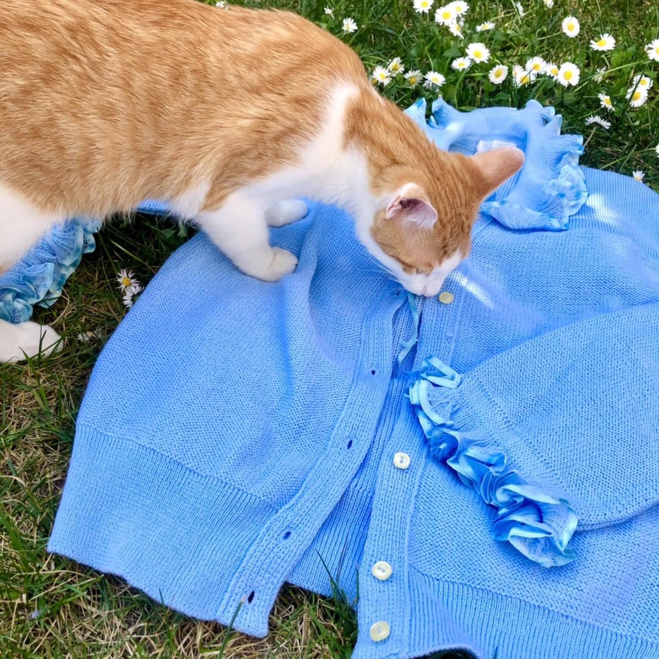 Pastel cardigan with ruffled collar and cuffs