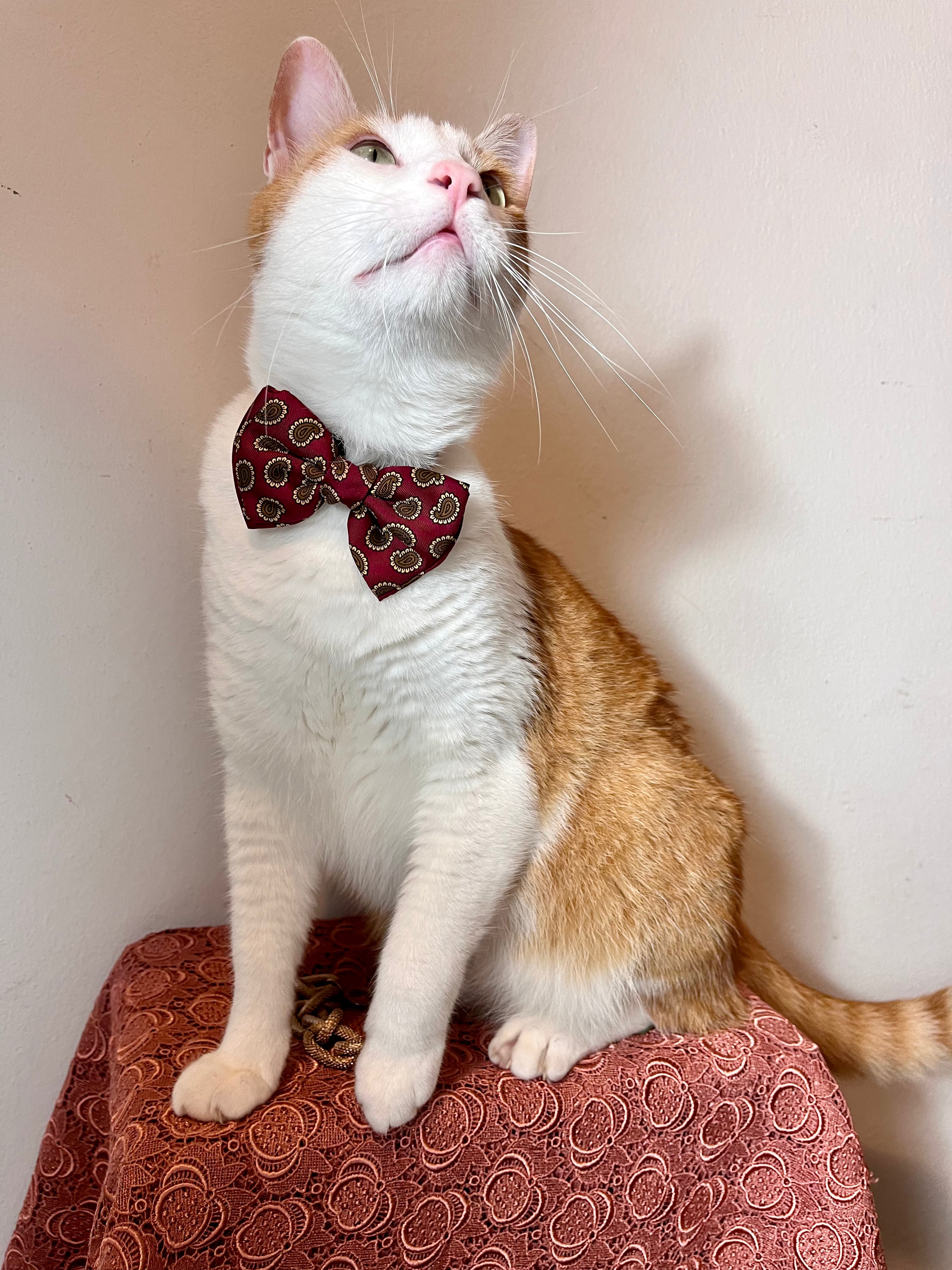 Noeud papillon Armani en pure soie baroque